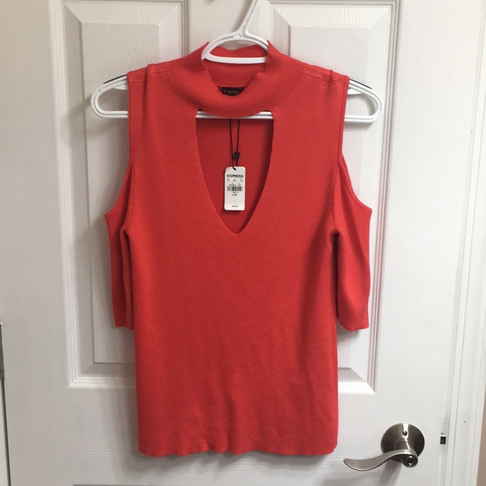 Express coral thin sweater